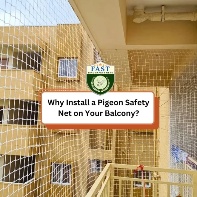 Why Install a Pigeon Safety Net on Your Balcony?