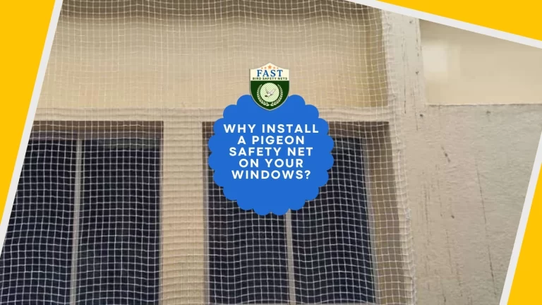 Why Install a pigeon safety net on your windows?