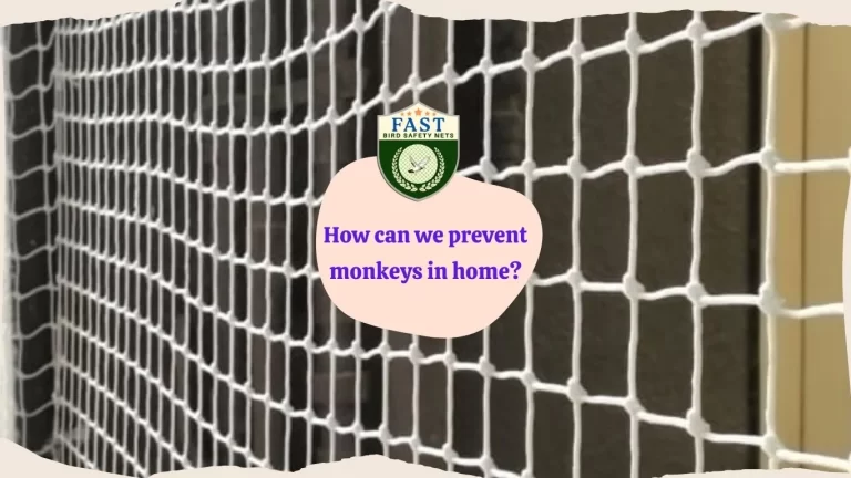How can we prevent monkeys in home?