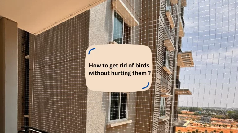 How to get rid of birds without hurting them?
