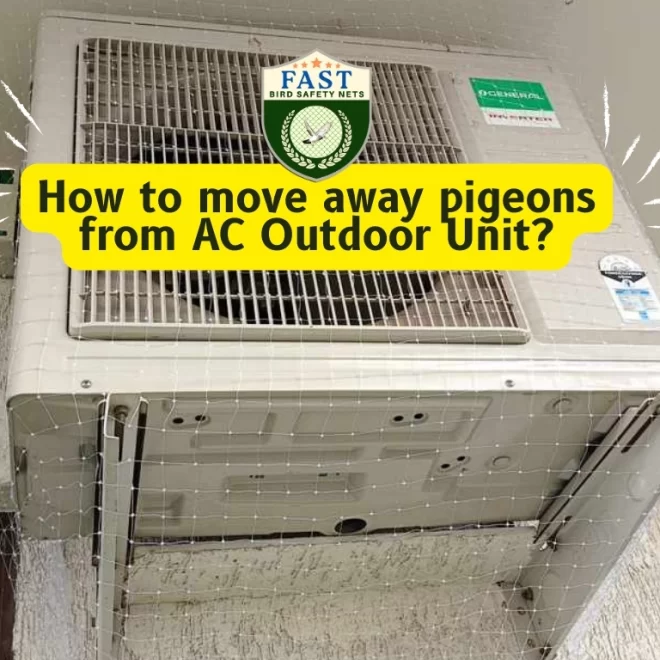 How to move away pigeons from AC Outdoor Unit?