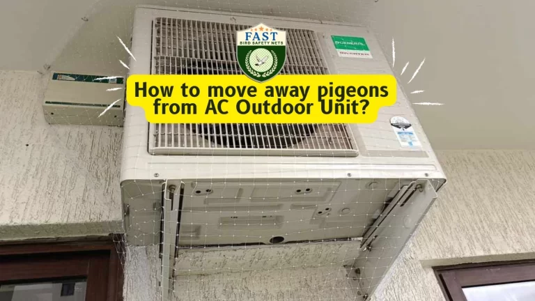 How to move away pigeons from AC Outdoor Unit?