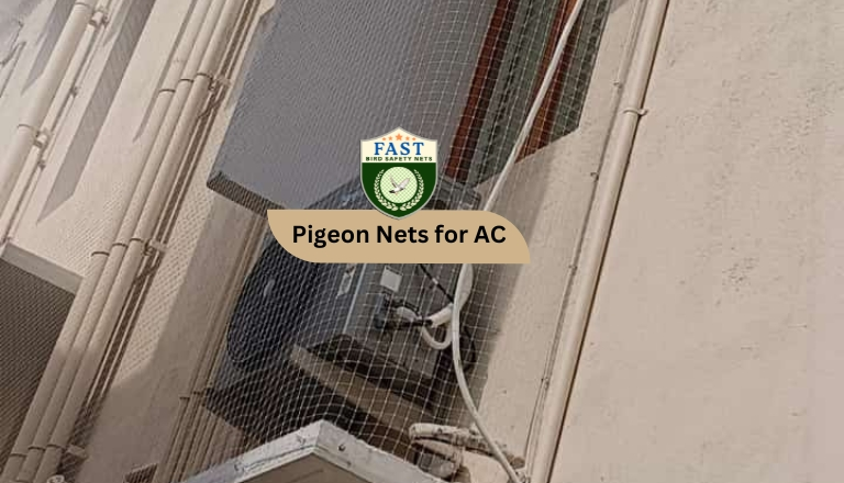 Pigeon Nets for AC