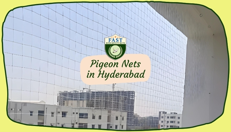 pigeon nets hyderabad