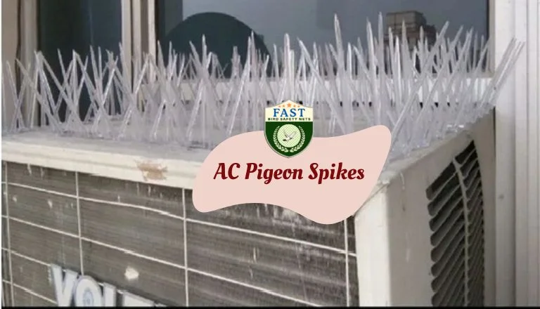 Ac pigeon spikes