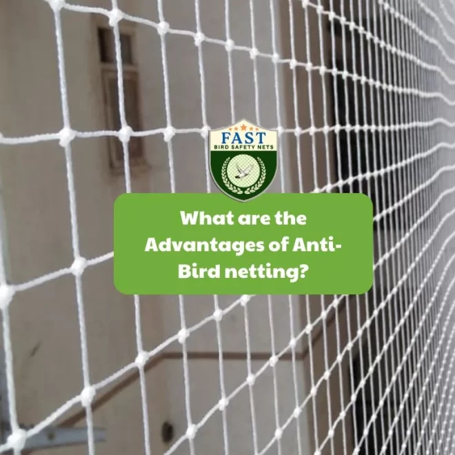 What are the Advantages of Anti-Bird netting?