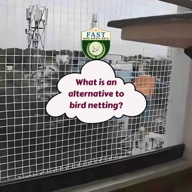 What is an alternative to bird netting?