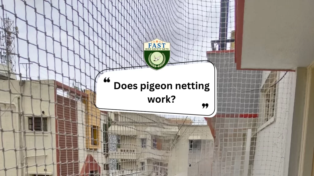 anti pigeon nets fixing