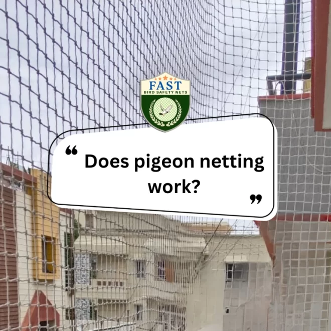 Does pigeon netting work?