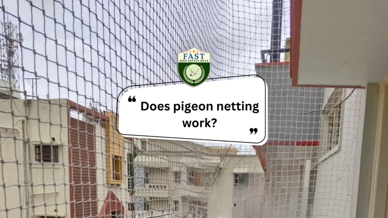 Does pigeon netting work?