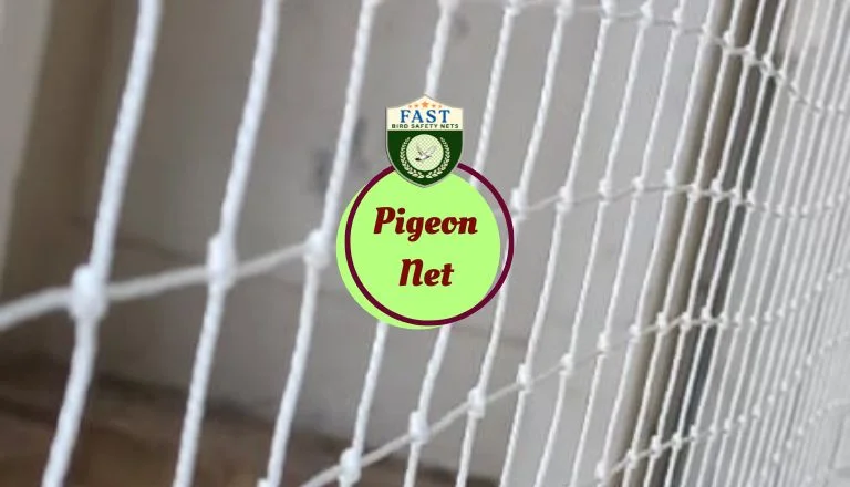 anti pigeon netting
