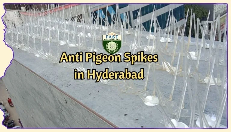 Anti Pigeon Spikes in Hyderabad