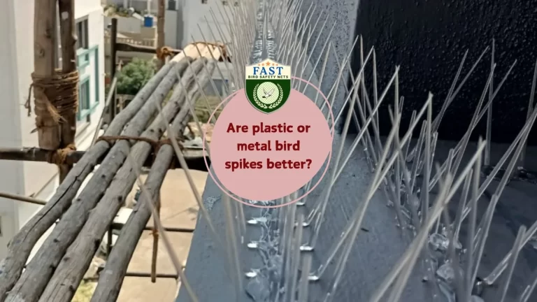 Are plastic or metal bird spike better?