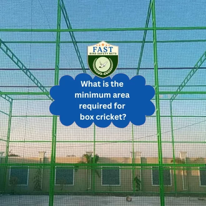 What is the minimum area required for box cricket?