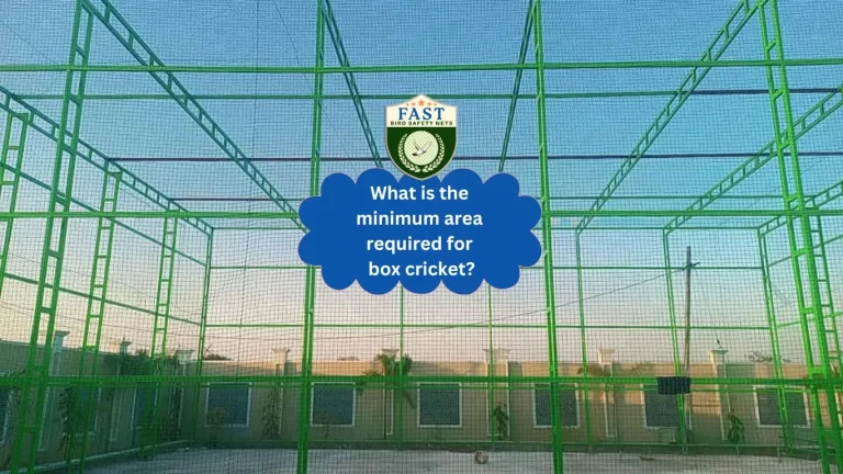 What is the minimum area required for box cricket?
