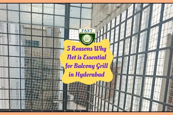 Five Reasons Why Balcony Grill Needs a Net