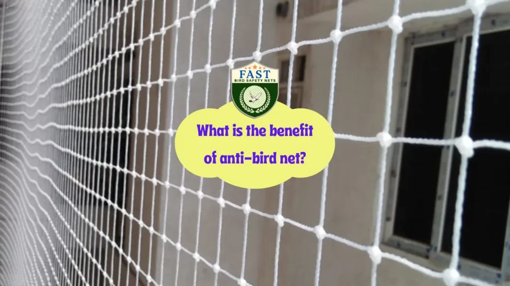 What is the benefit of anti-bird net?