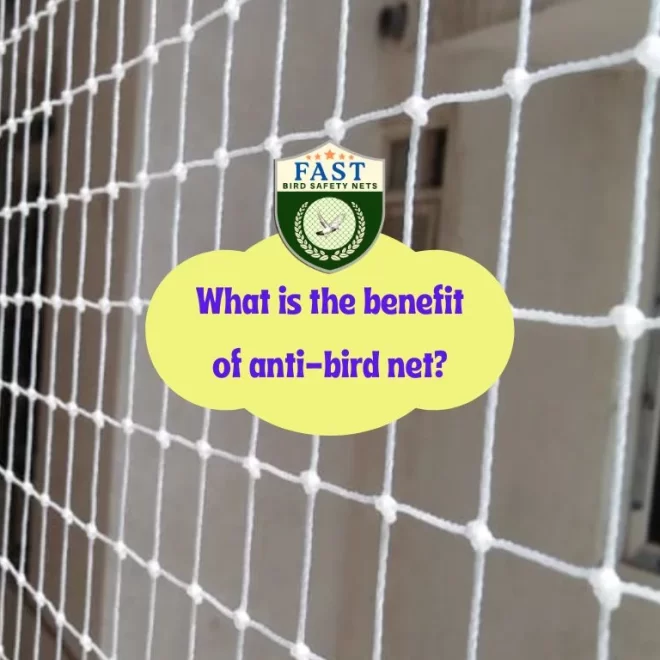What is the benefit of anti-bird net?