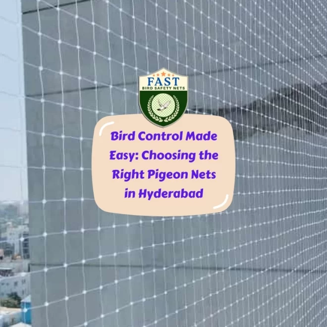 Bird Control Made Easy: Choosing the Right Pigeon Nets in Hyderabad
