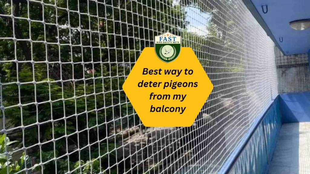 Best way to deter pigeons from my balcony