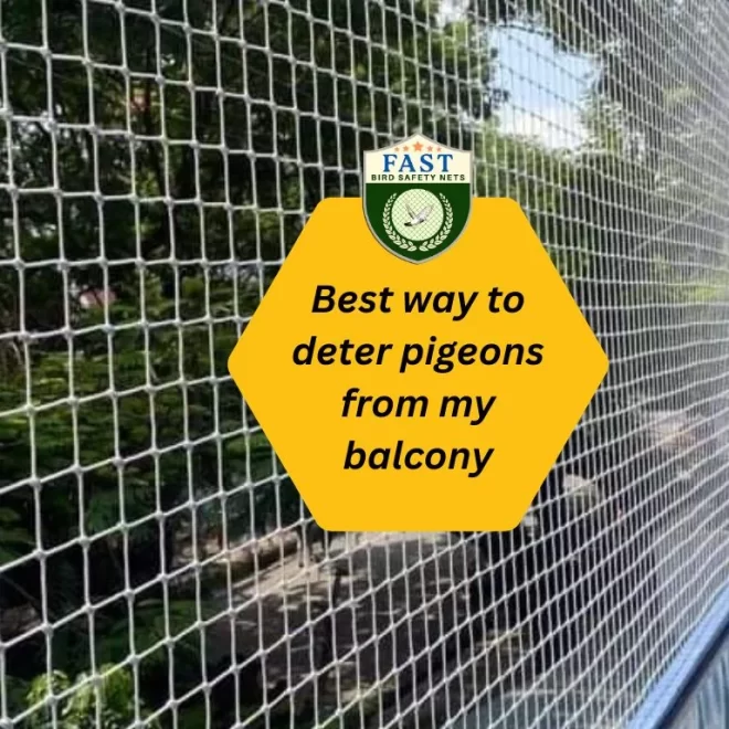 Best way to deter pigeons from my balcony