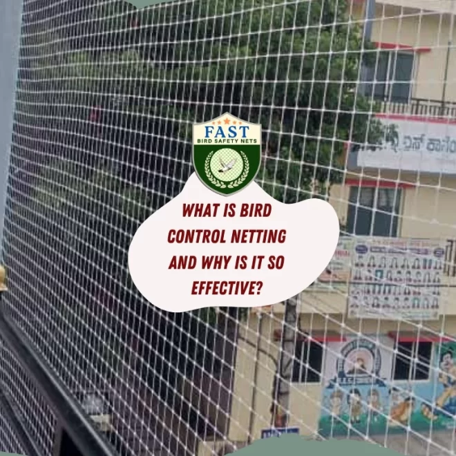What is bird control netting and why is it so effective?