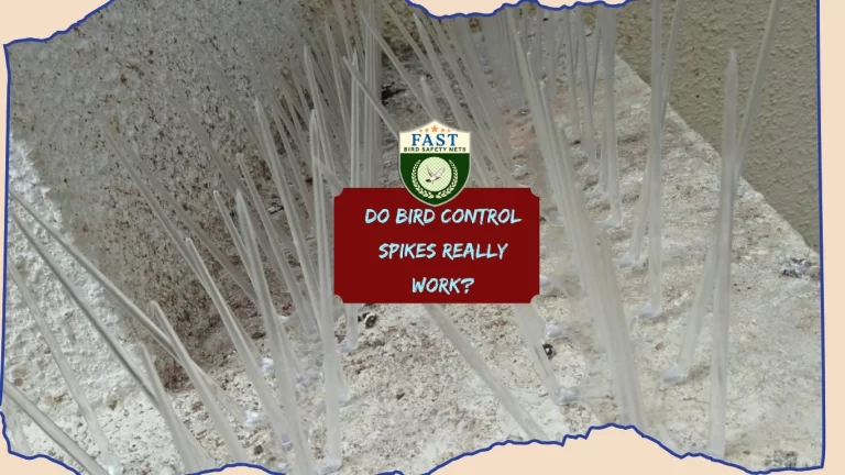 Do bird control spikes really work?