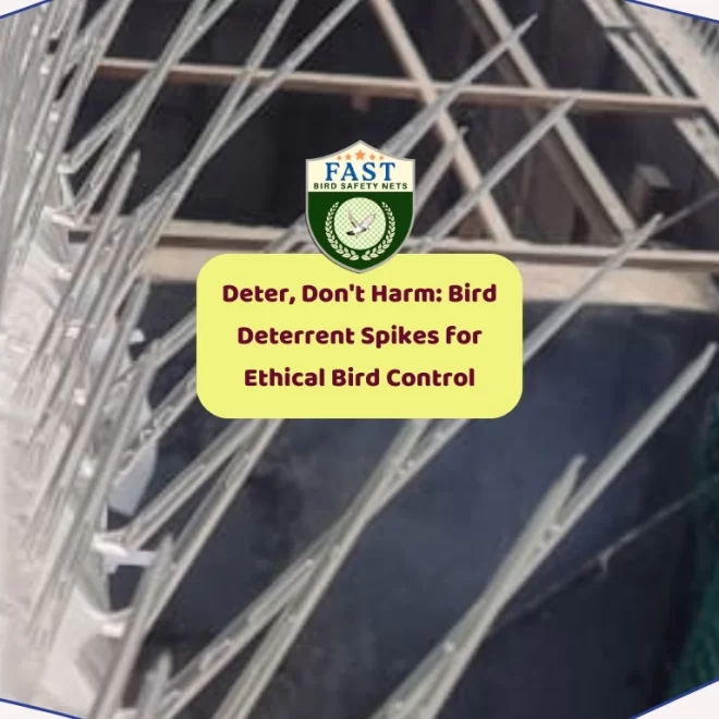 Deter, Don’t Harm: Bird Deterrent Spikes for Ethical Bird Control