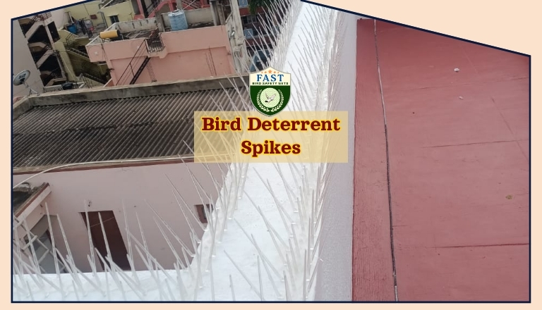 bird deterrent spikes