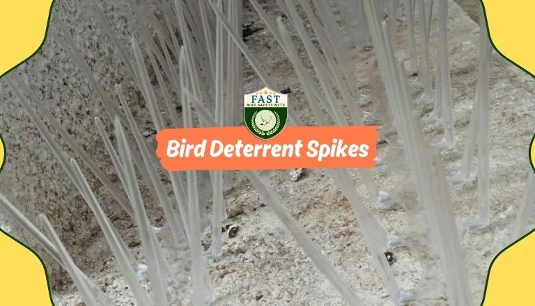 Bird Deterrent Spikes Fixing