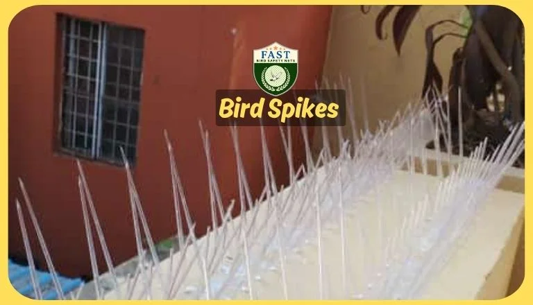 Bird Spikes Installation