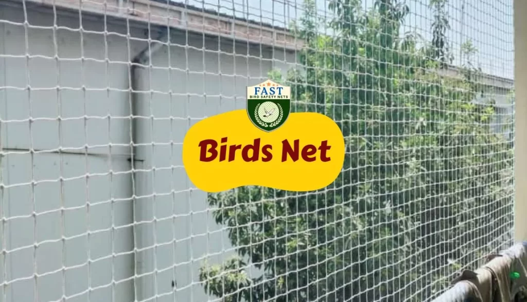 Bird Netting Installation