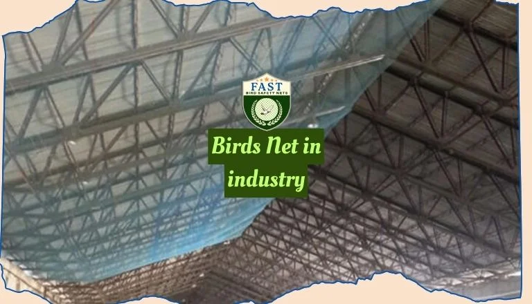 Bird Net in Industry