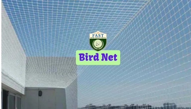 Bird Net Installation Near Me