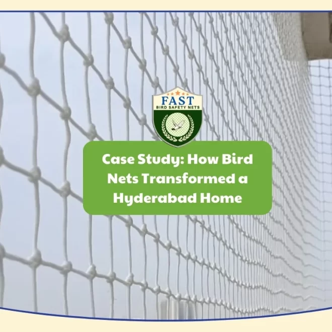 Case Study: How Bird Nets Transformed a Hyderabad Home