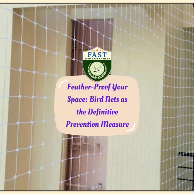 Feather-Proof Your Space: Bird Nets as the Definitive Prevention Measure