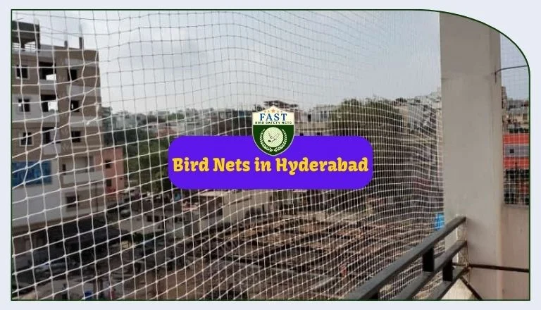 Bird Nets in Hyderabad