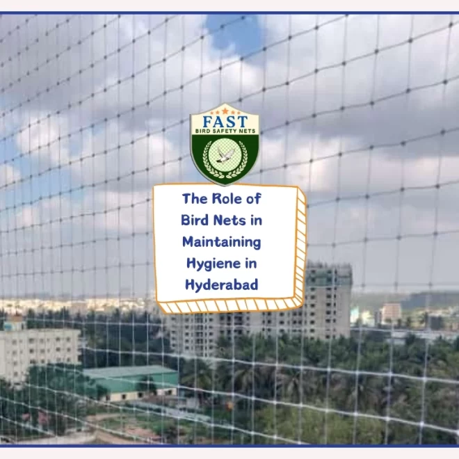 The Installation of Bird Nets in Maintaining Hygiene in Hyderabad