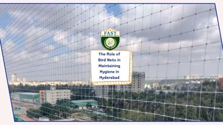 The Installation of Bird Nets in Maintaining Hygiene in Hyderabad