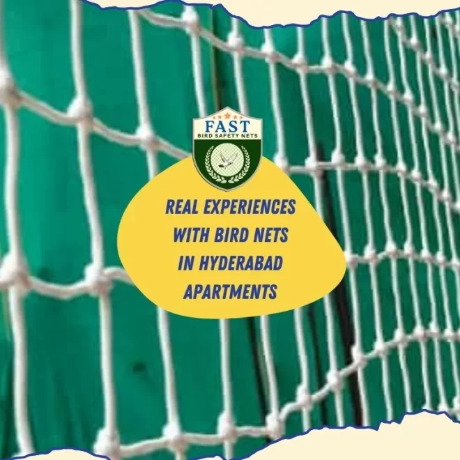 Real Experiences with Bird Nets in Hyderabad Apartments