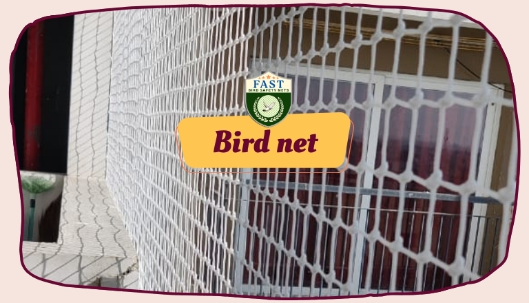 Bird Net Installation