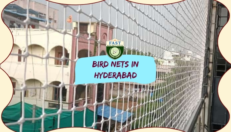 bird nets in hyderabad