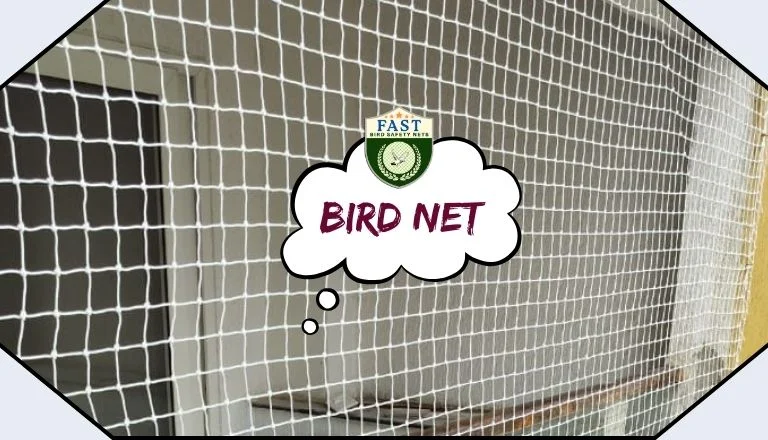 Bird Nets