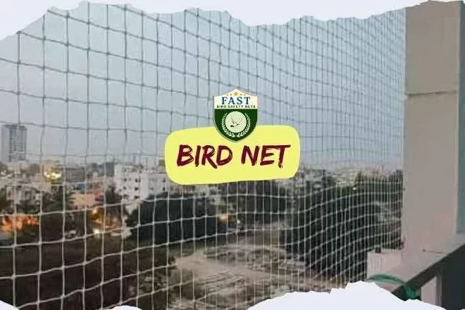 Enjoying Your Balcony in Peace: Bird Netting Tips and Tricks
