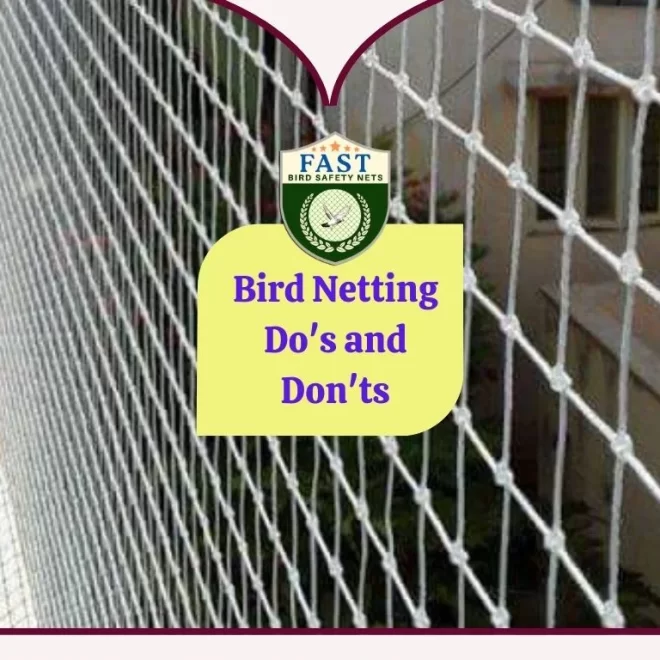 Bird Netting Do’s and Don’ts