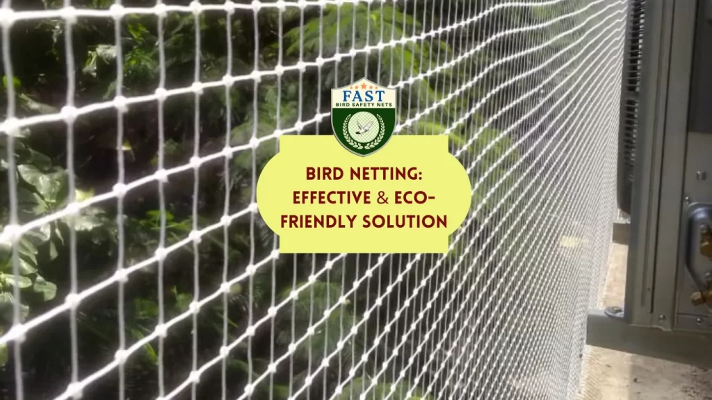 Bird Netting: Effective & Eco-Friendly Solution