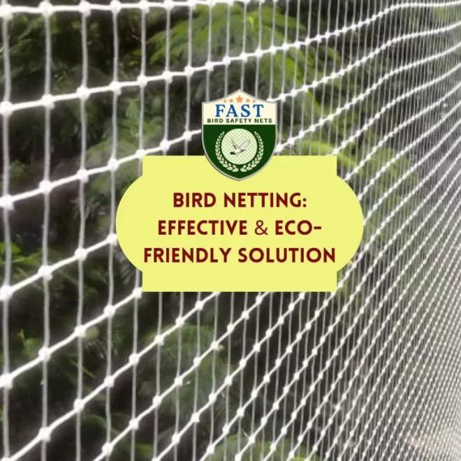 Bird Netting: Effective & Eco-Friendly Solution