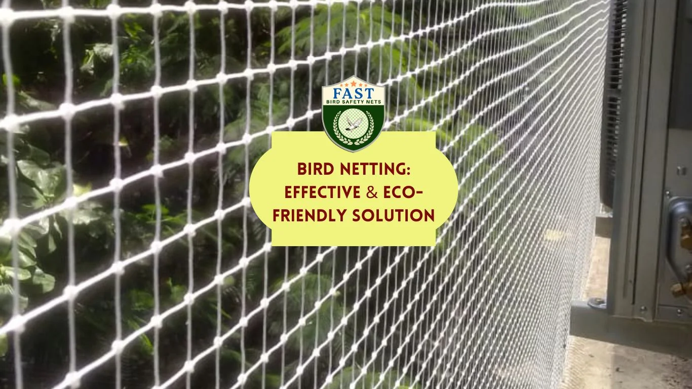Bird Netting Effective & EcoFriendly Solution Fast Safety Nets