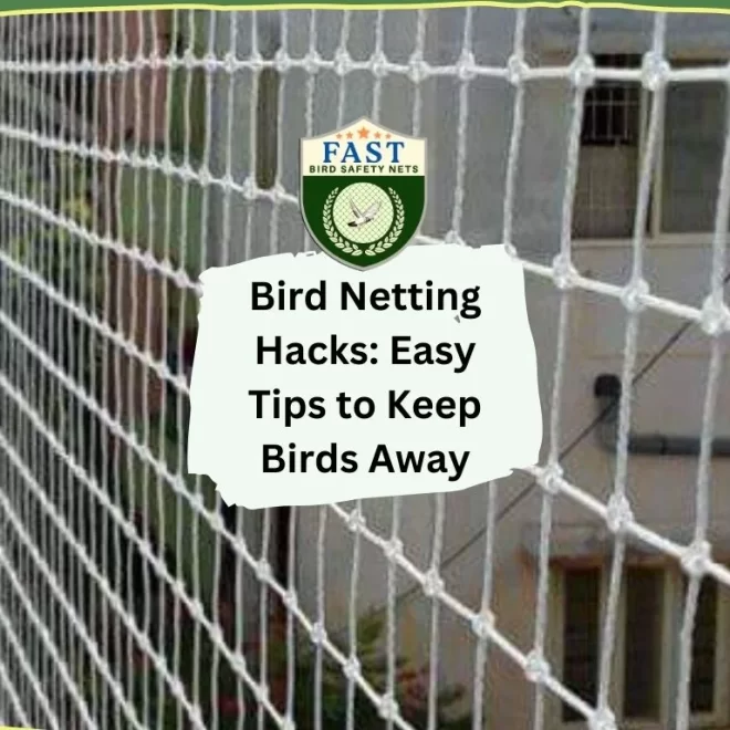 Bird Netting Hacks: Easy Tips to Keep Birds Away