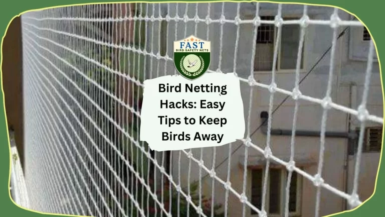 Bird Netting Hacks: Easy Tips to Keep Birds Away